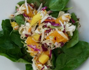 mango mandarin slaw